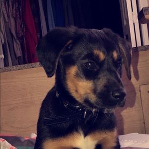 Meet your Posher, Caleb